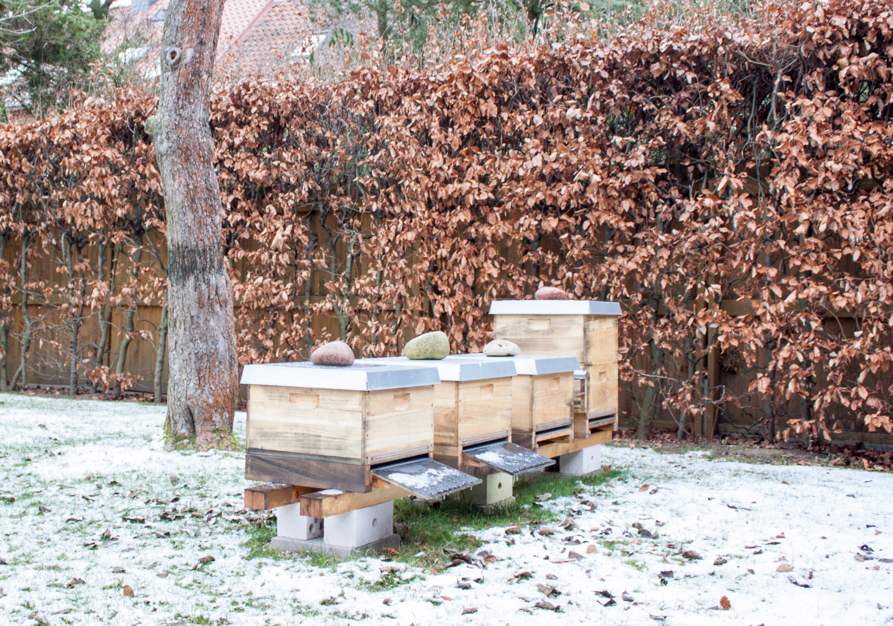 Bienenstöcke im Winter